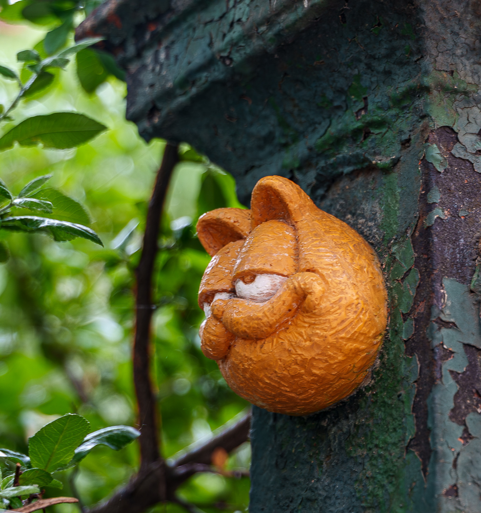 Garfield